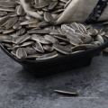 sementes de girassol comestíveis